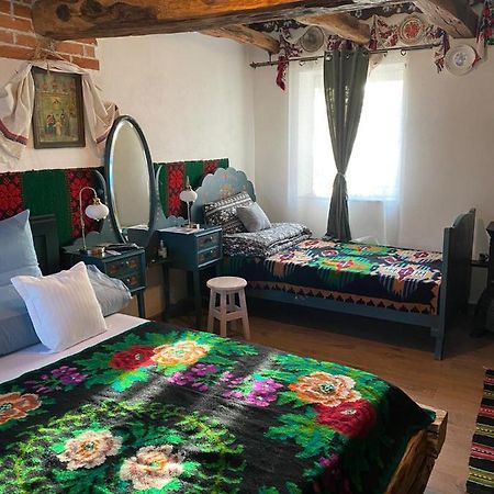 Casa Cezara Appartement Silvasu de Jos Buitenkant foto