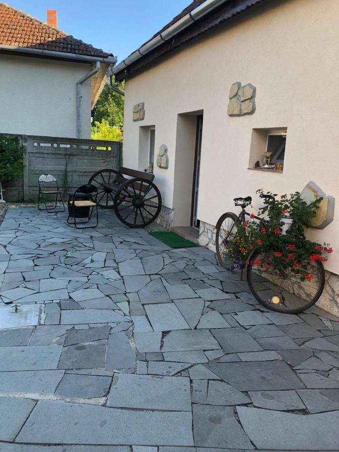 Casa Cezara Appartement Silvasu de Jos Buitenkant foto