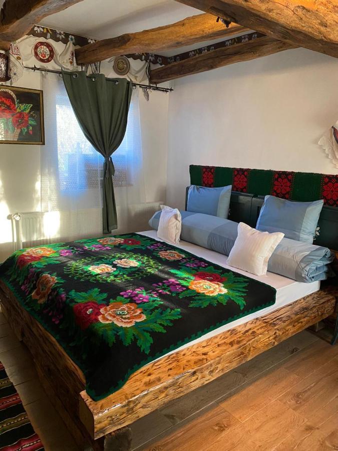 Casa Cezara Appartement Silvasu de Jos Buitenkant foto