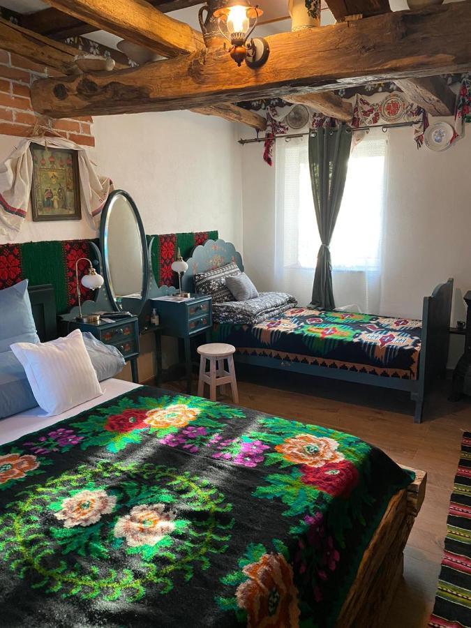 Casa Cezara Appartement Silvasu de Jos Buitenkant foto