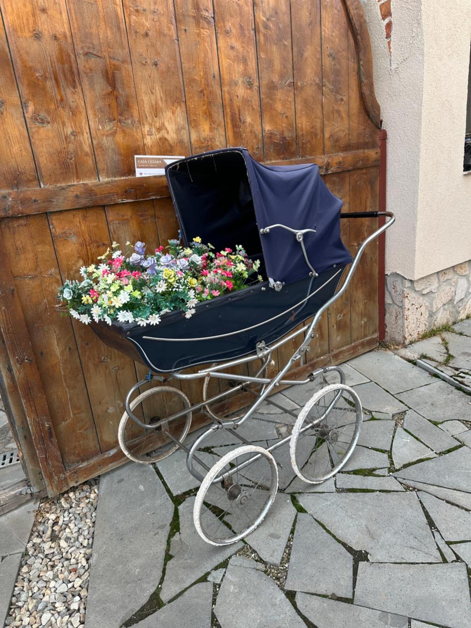 Casa Cezara Appartement Silvasu de Jos Buitenkant foto