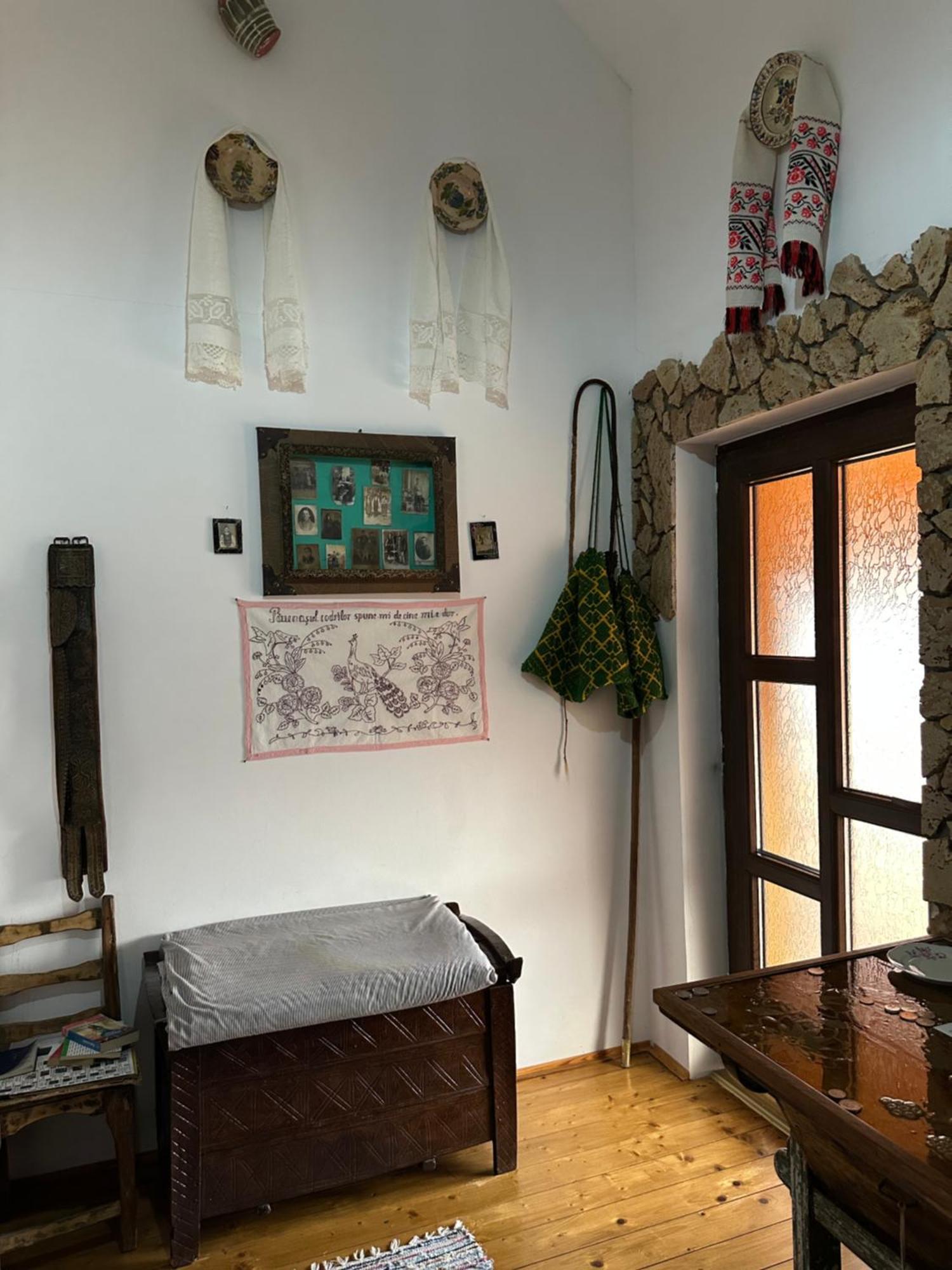 Casa Cezara Appartement Silvasu de Jos Buitenkant foto