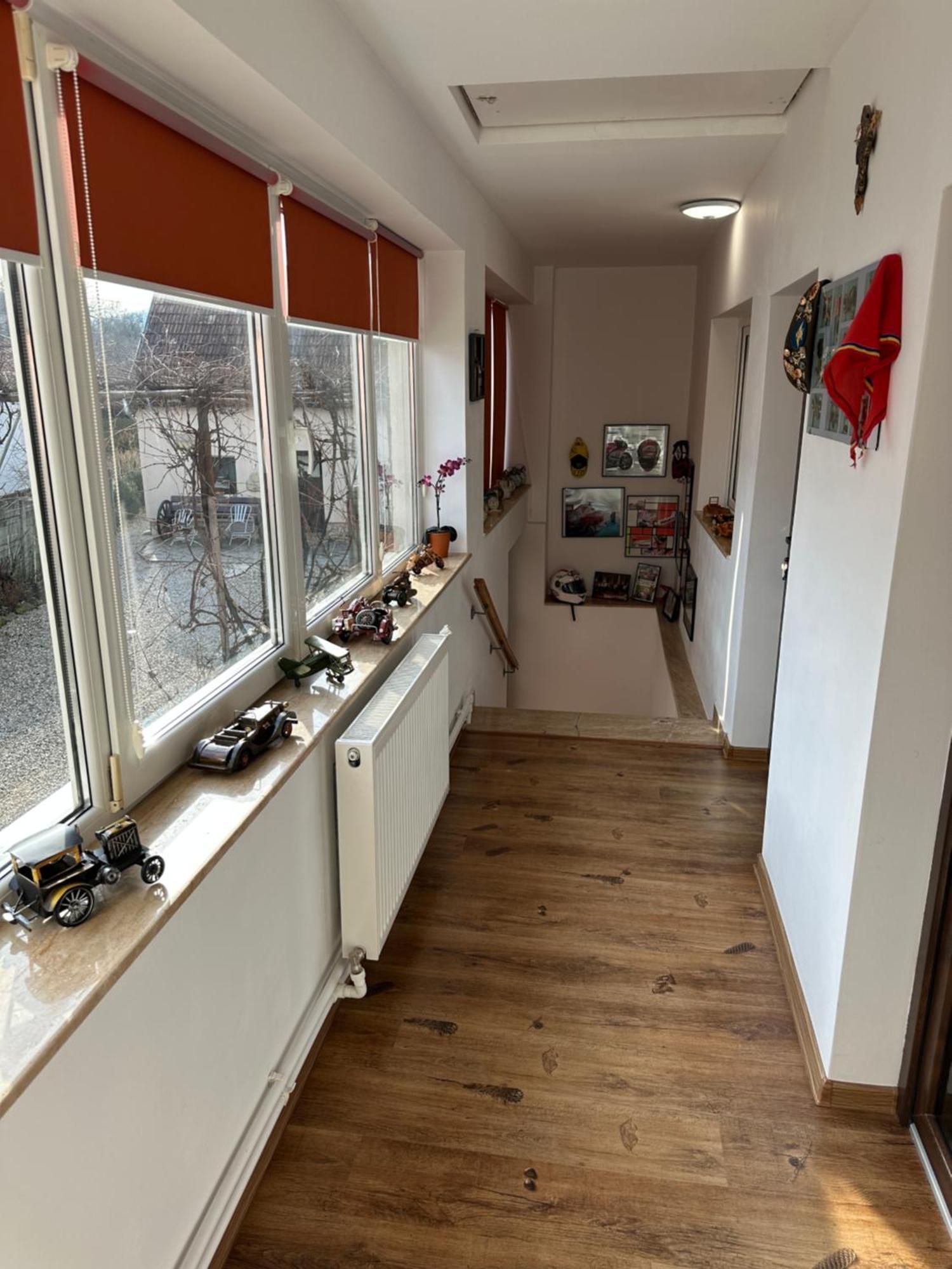 Casa Cezara Appartement Silvasu de Jos Buitenkant foto