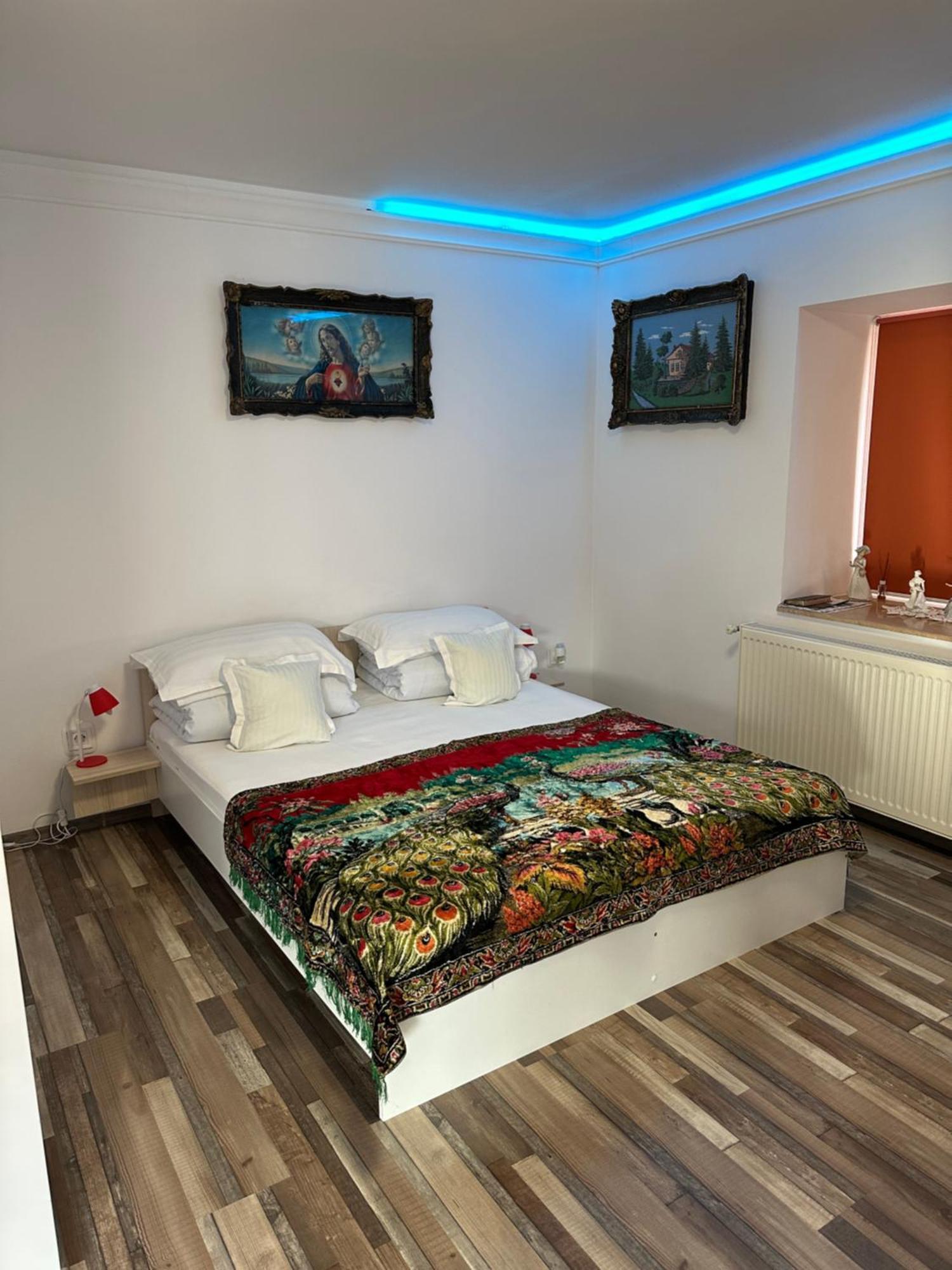 Casa Cezara Appartement Silvasu de Jos Buitenkant foto