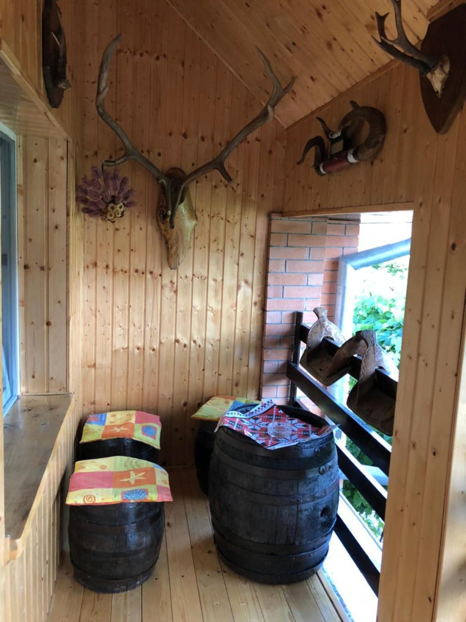 Casa Cezara Appartement Silvasu de Jos Buitenkant foto