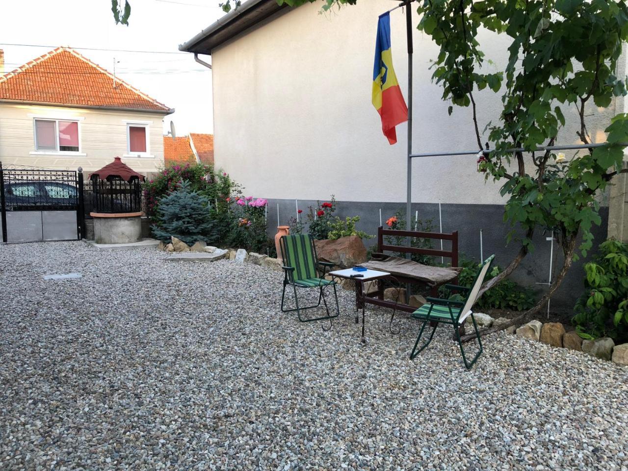 Casa Cezara Appartement Silvasu de Jos Buitenkant foto