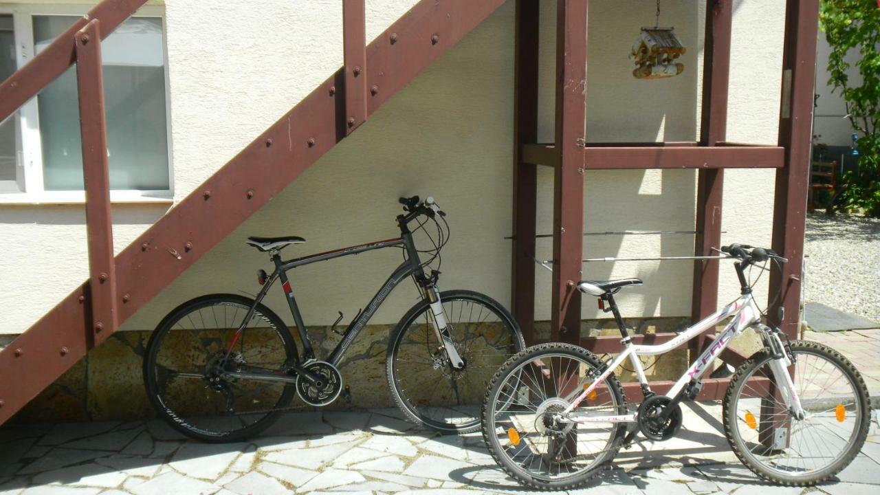 Casa Cezara Appartement Silvasu de Jos Buitenkant foto