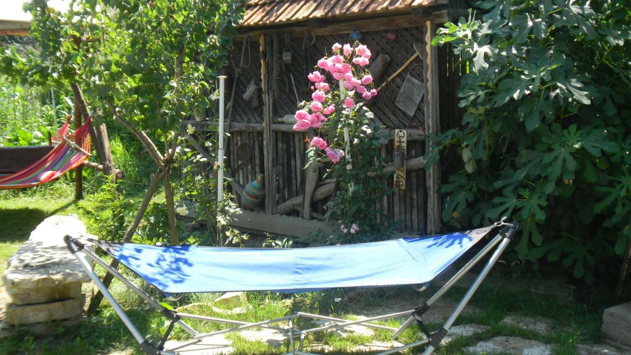 Casa Cezara Appartement Silvasu de Jos Buitenkant foto